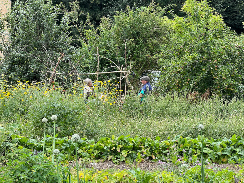 Nordisk Fortællerseminar giver kunsten retning 13