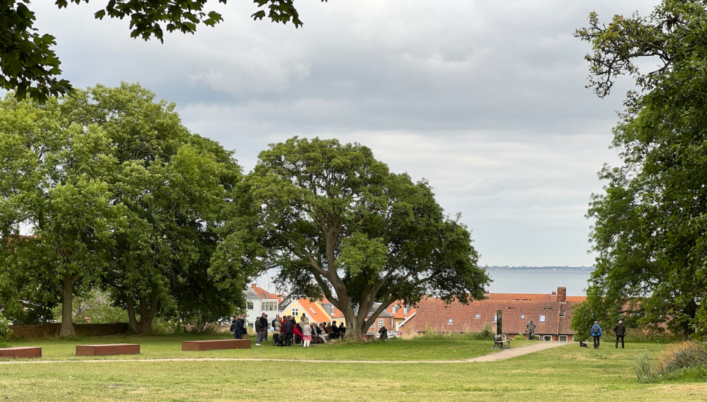 Nordisk Fortællerseminar giver kunsten retning 37