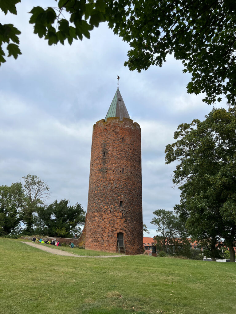 Nordisk Fortællerseminar giver kunsten retning 39