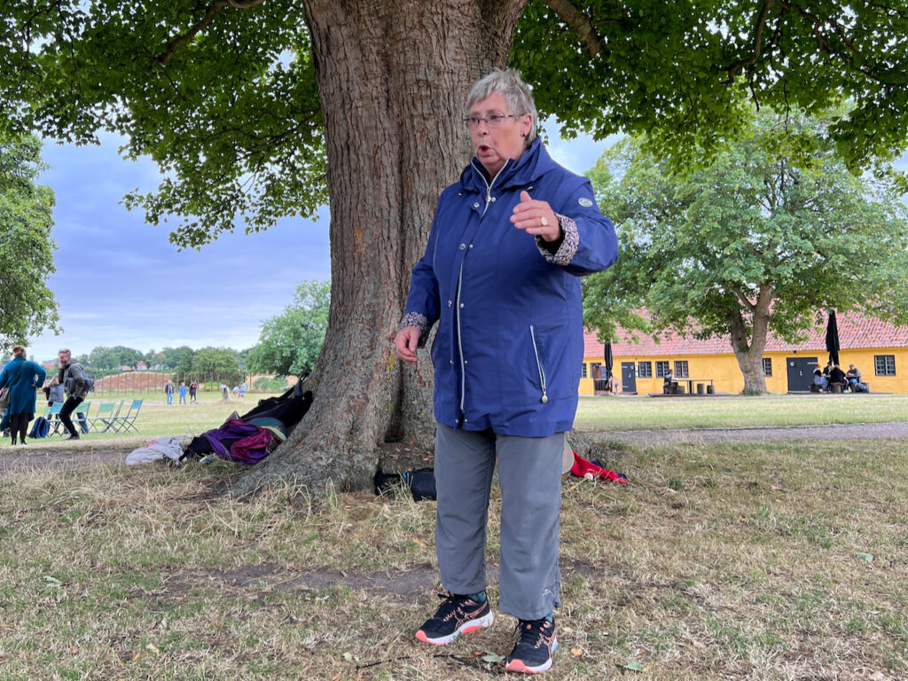 Nordisk Fortællerseminar giver kunsten retning 41