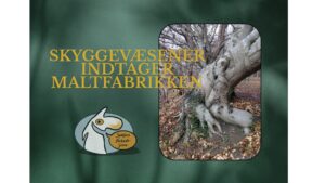 26.11 Ebeltoft - Skyggevæsener indtager Maltfabrikken 32
